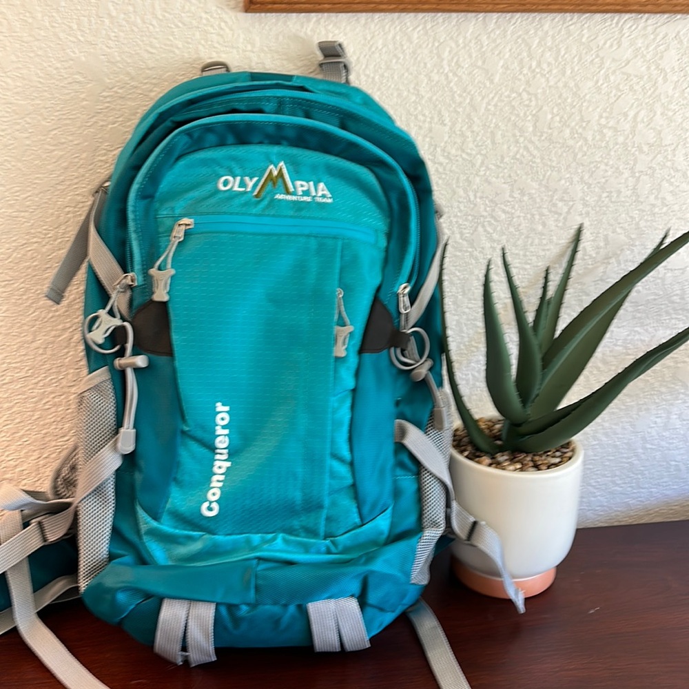 Conquer Backpack Turquoise